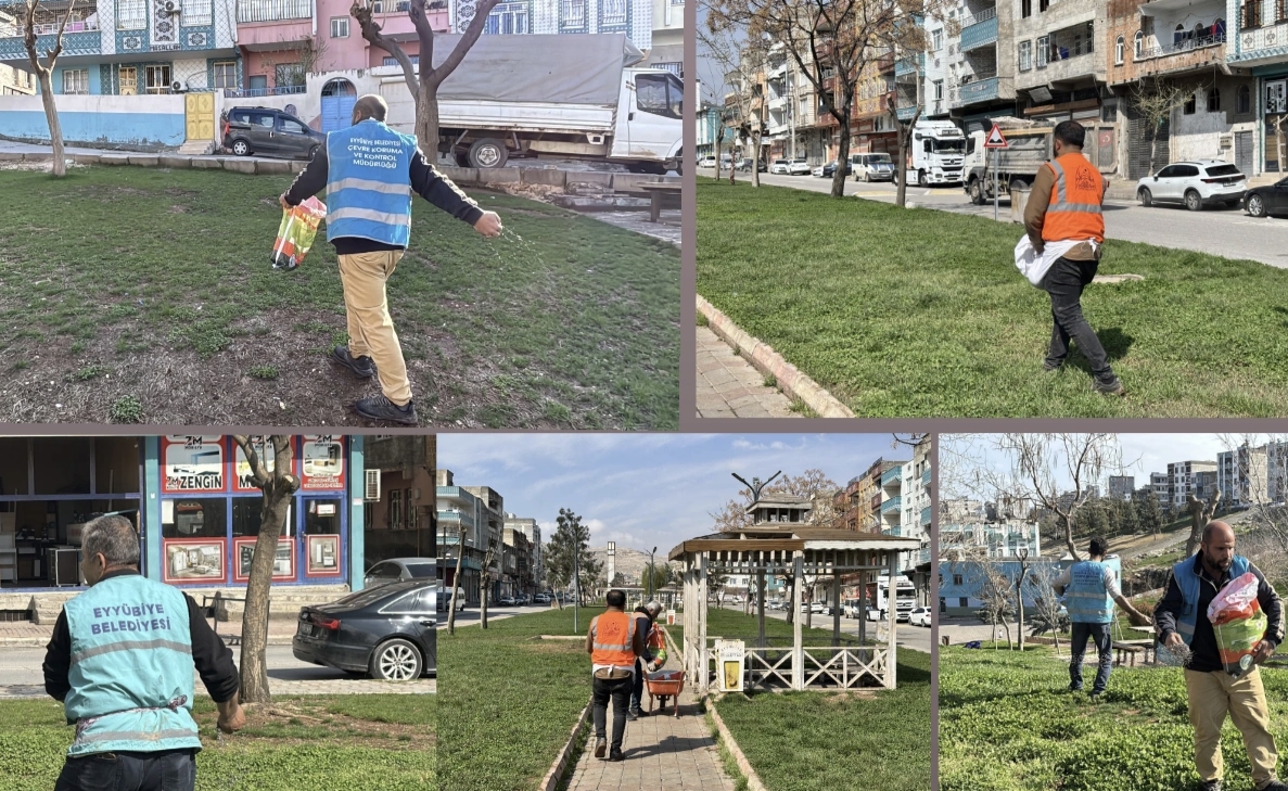 Yemyeşil bir Eyyübiye için çalışıyorlar 